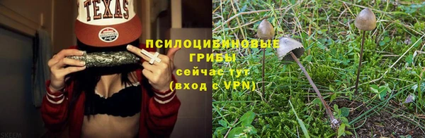 spice Волоколамск