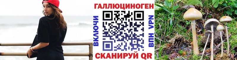 Купить закладки  Волоколамск  Галлюциногенные грибы мухоморы 